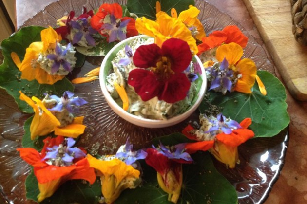 Köstliche gefüllte Kapuziner Kresse Blüten
